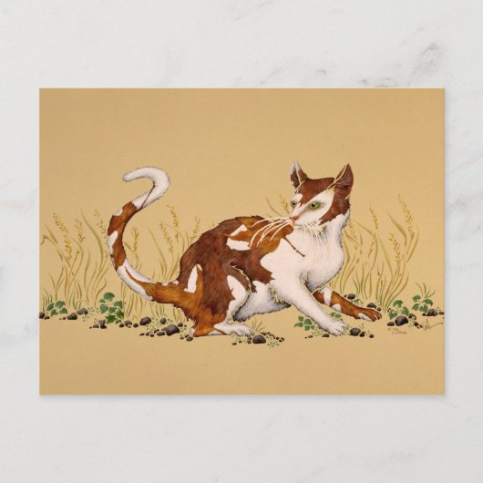 Calico Autum Briefkaart (Voorkant)