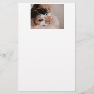 Calico Beauty Cat Briefpapier
