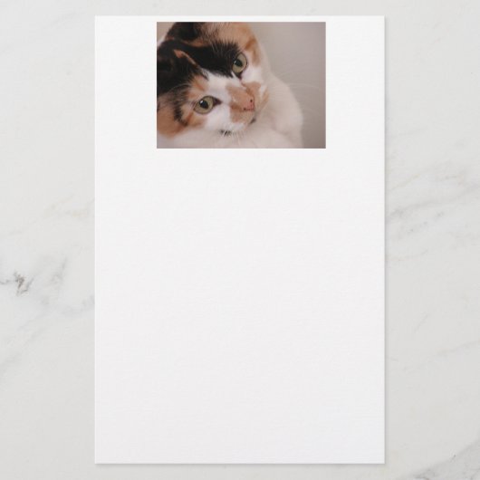 Calico Beauty Cat Briefpapier (Voorkant)