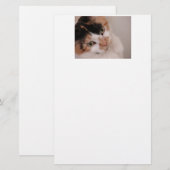 Calico Beauty Cat Briefpapier (Voorkant / Achterkant)