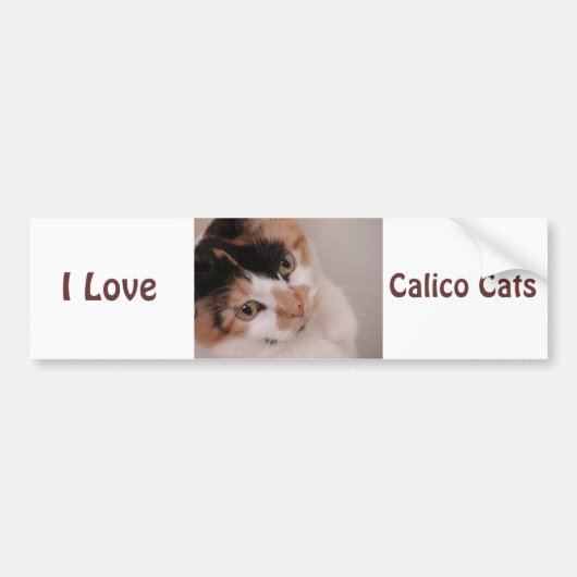 Calico Beauty Cat Bumpersticker (Voorkant)