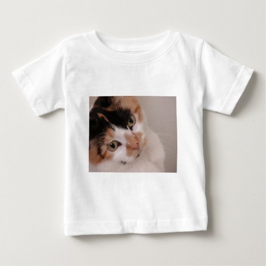 Calico Cat (Voorkant)