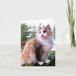 Calico Cat, aangepast denken aan jou Kaart