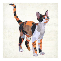 CALICO CAT Art.