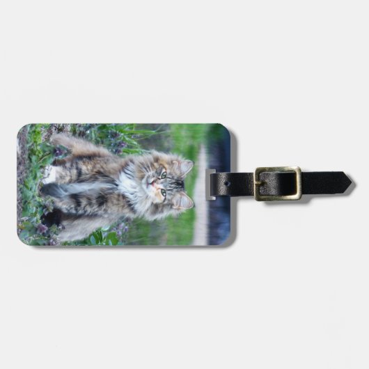 Calico Cat Bagagelabel (Voorkant horizontaal)