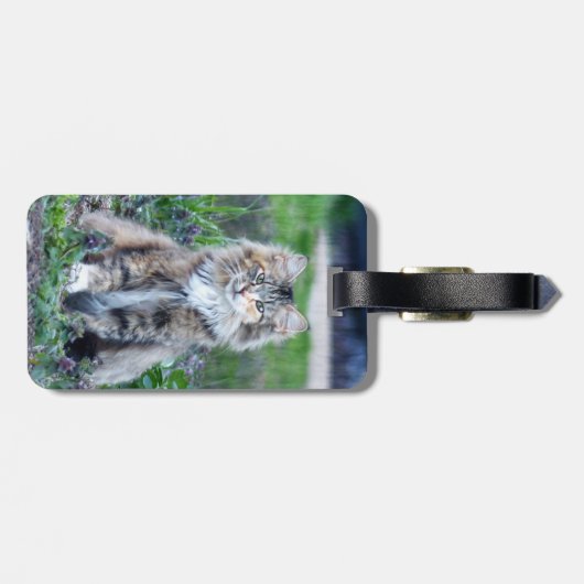Calico Cat Bagagelabel (Achterkant horizontaal)