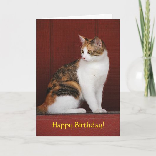 Calico Cat Birthday Card Kaart (Voorkant)