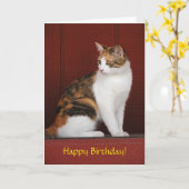 Calico Cat Birthday Card Kaart (Gele Bloem)