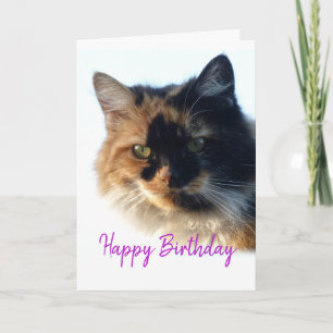 Calico cat Birthday Kaart