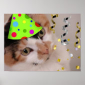 Calico Cat Birthday Party Poster (Voorkant)