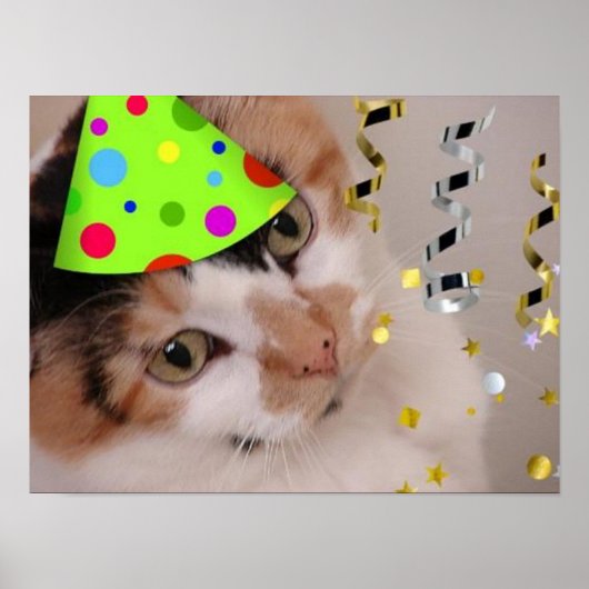 Calico Cat Birthday Party Poster (Voorkant)