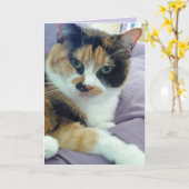 Calico Cat Blank Wenskaart Kaart (Gele Bloem)