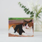 Calico Cat Briefkaart (Staand voorkant)