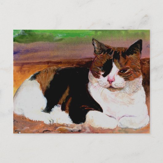 Calico Cat Briefkaart (Voorkant)
