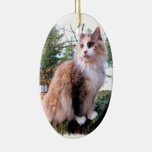 Calico Cat Custom Kerstmis Keramisch Ornament (Rechts)
