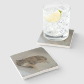 Calico Cat Drink Onderzetter (Zijkant)