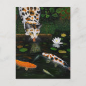Calico Cat en Koi Fish Briefkaart (Voorkant)