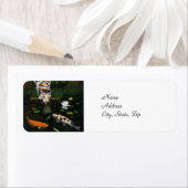 Calico Cat en Koi Fish Etiket (Insitu)