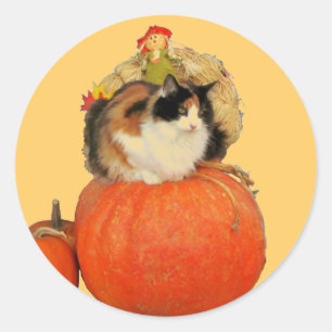 Calico Cat en Scarecrow op pompoenen Ronde Sticker