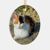 Calico Cat-foto Keramisch Ornament (Rechts)