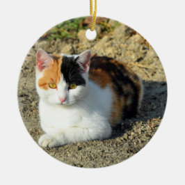 Calico Cat-foto Keramisch Ornament