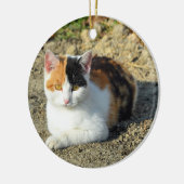  Calico Cat-foto Keramisch Ornament (Links)
