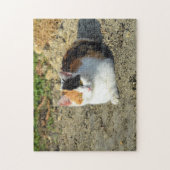  Calico Cat-foto Legpuzzel (Verticaal)