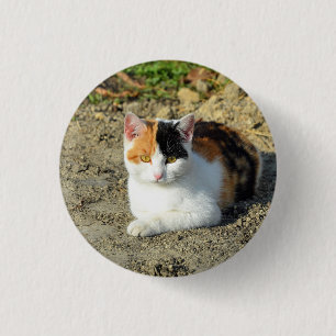  Calico Cat-foto Ronde Button 3,2 Cm