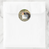  Calico Cat-foto Ronde Sticker (Tas)