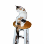 Calico Cat Fotobeeldje Ornament<br><div class="desc">Een calicaanse kat maakt dit  acrylornament</div>