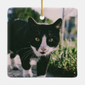 Calico Cat Gnome waterverf Kerstmis Cerami Keramisch Ornament (Achterkant)