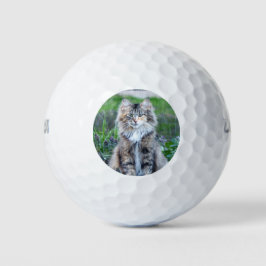 Calico Cat Golfballen