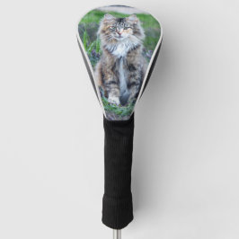 Calico Cat Golfheadcover