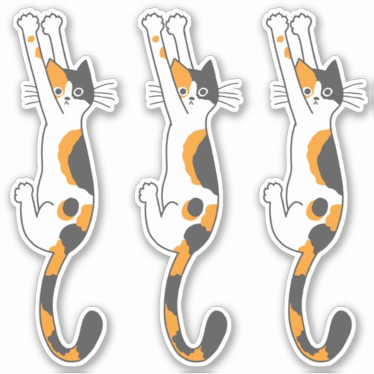 Calico Cat Hanging On | Grappige kat Stickers (Voorkant)