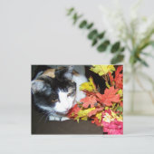 Calico Cat herfst Briefkaart (Staand voorkant)