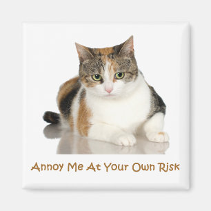 Calico Cat: Ik ben bang voor je eigen risico Magneet