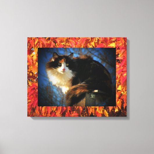 Calico Cat in de herfst Canvas Afdruk (Voorkant)