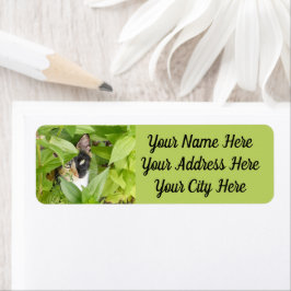 Calico Cat in de Zinnias Etiket