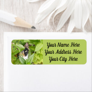 Calico Cat in de Zinnias Etiket