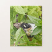 Calico Cat in de Zinnias Legpuzzel (Verticaal)