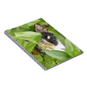 Calico Cat in de Zinnias Notitieboek (Rechterzijde)