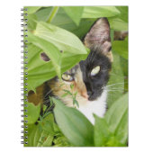 Calico Cat in de Zinnias Notitieboek (Voorkant)