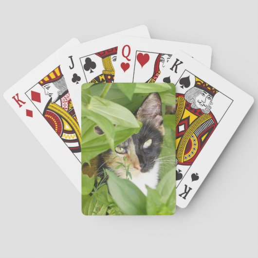 Calico Cat in de Zinnias Pokerkaarten (Achterkant)