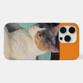 Calico Cat in een kattenbed iPhone Hoesje (Achterkant horizontaal)
