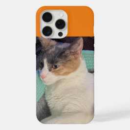 Calico Cat in een kattenbed iPhone 15 Pro Max Case