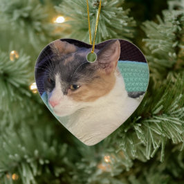 Calico Cat in een kattenbed Keramisch Ornament