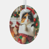 Calico Cat in Stocking Glass Ornament (Voorkant Rechts)