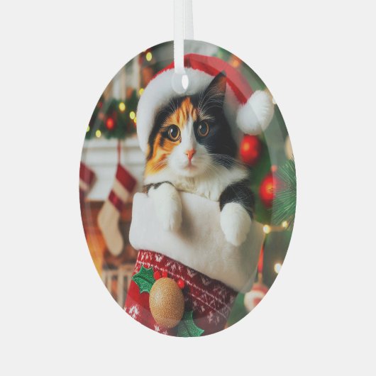 Calico Cat in Stocking Glass Ornament (Voorkant links)