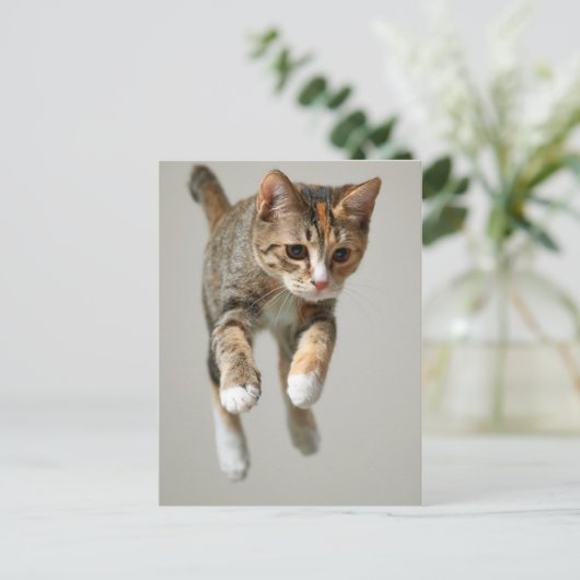 Calico Cat Jumping Briefkaart (Staand voorkant)