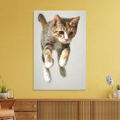 Calico Cat Jumping Canvas Afdruk (Insitu (Woonkamer))